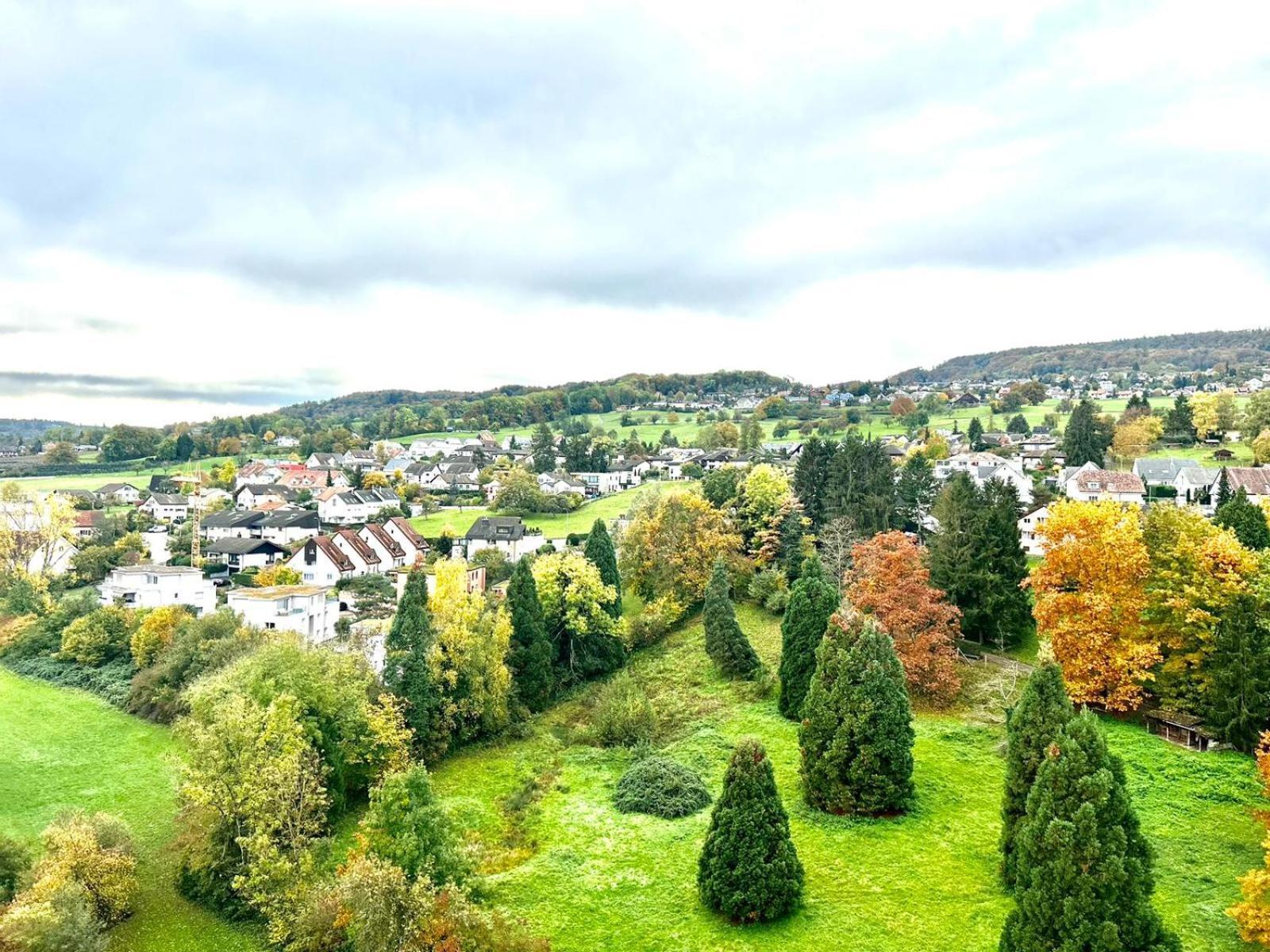 Little Penthouse **** Apartment Dietikon Bagian luar foto