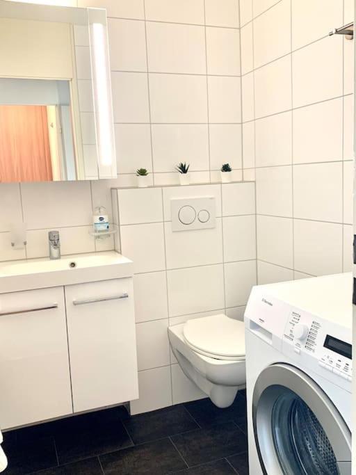 Little Penthouse **** Apartment Dietikon Bagian luar foto