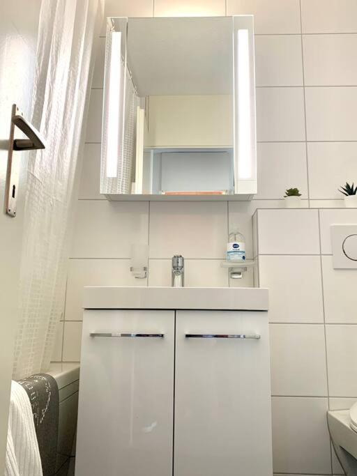 Little Penthouse **** Apartment Dietikon Bagian luar foto