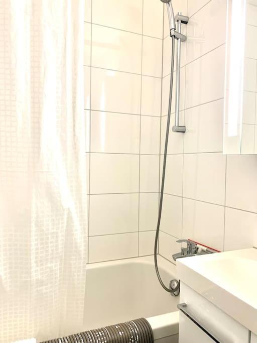 Little Penthouse **** Apartment Dietikon Bagian luar foto