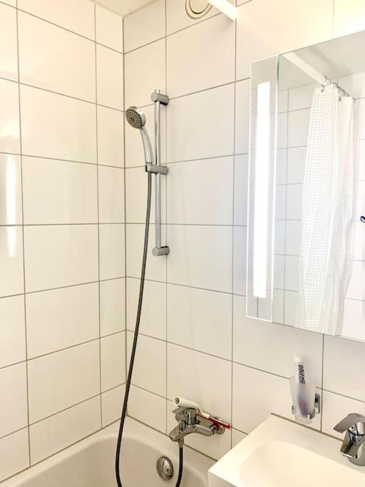 Little Penthouse **** Apartment Dietikon Bagian luar foto