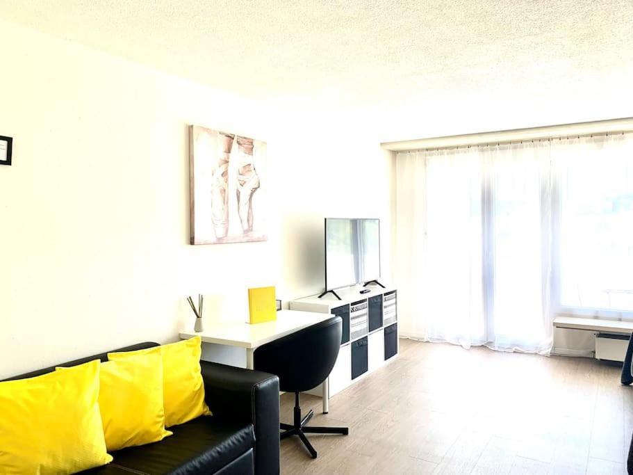 Little Penthouse **** Apartment Dietikon Bagian luar foto